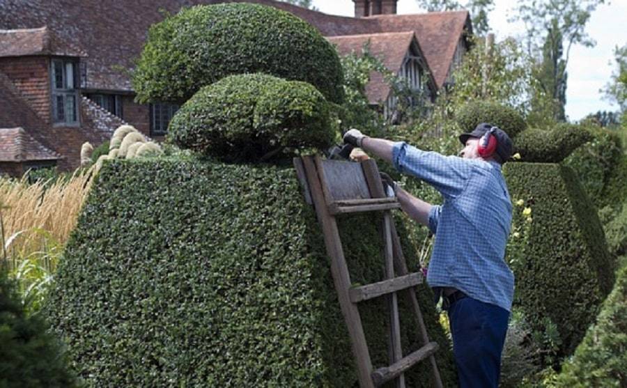 Pourquoi utiliser les services d'un expert pour l'aménagement d'un jardin en île de France ?